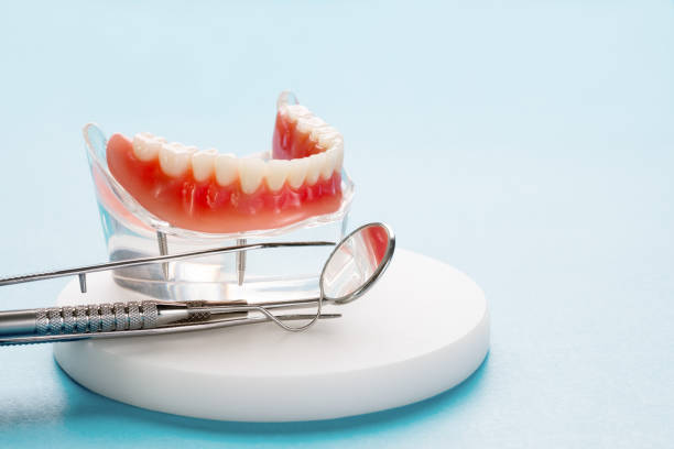 Best Dental Exams and Cleanings  in Kensington, NY